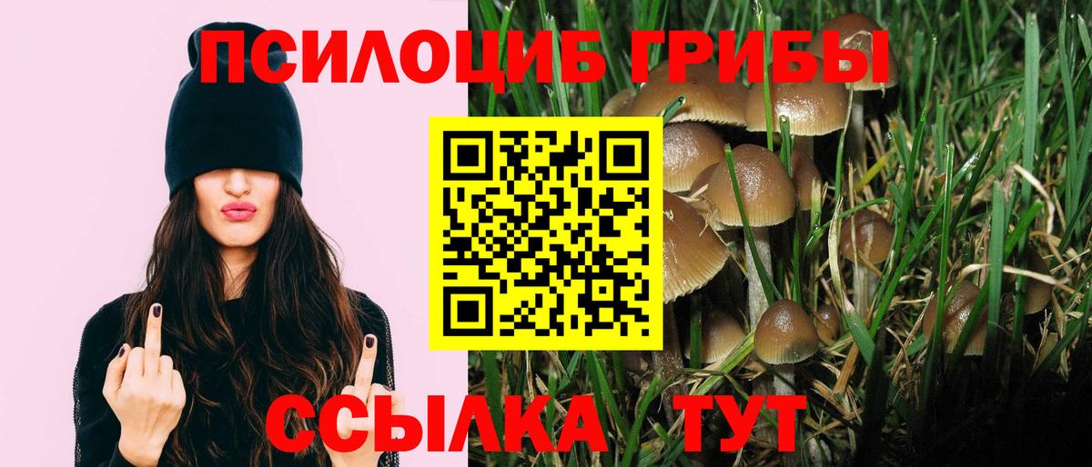 Псилоцибиновые грибы прущие грибы  Вход с VPN  Железноводск  Галлюциногенные грибы GOLDEN TEACHER 