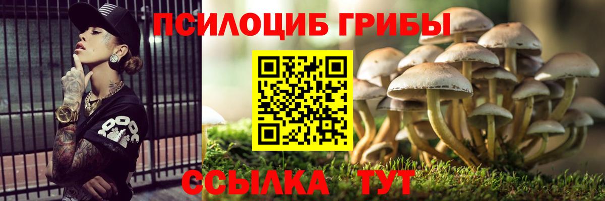 Псилоцибиновые грибы Psilocybe Железноводск